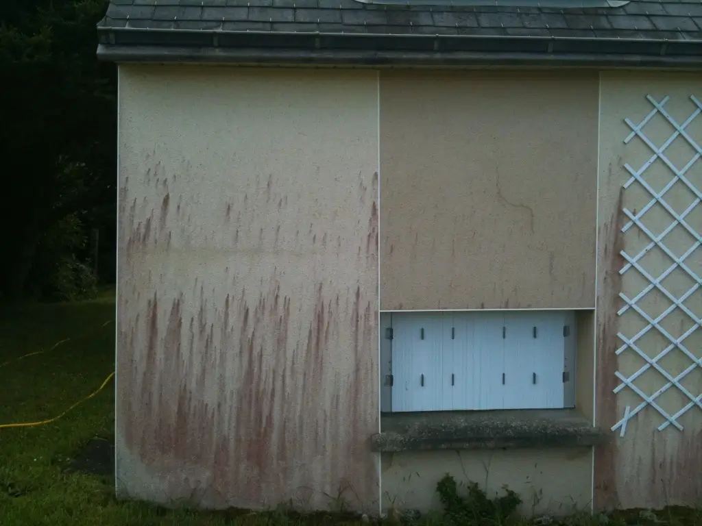 Façade avant démoussage - Douarnenez